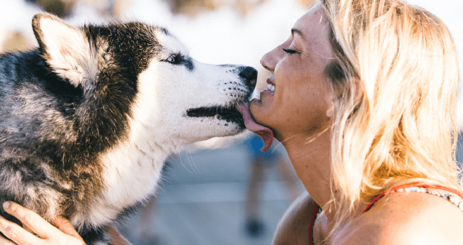 Is Coronavirus Transmitting from Animals to Humans