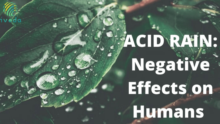 Effects of ACID Rain on Humans | Acid Rain Effects on Humans
