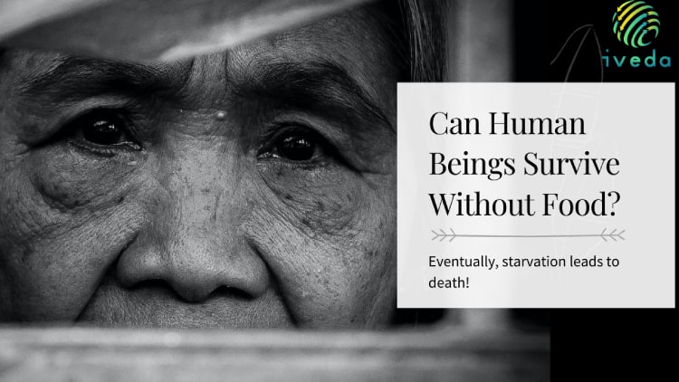 Can Human Beings Survive Without Food