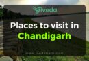 Places to visit in Chandigarh