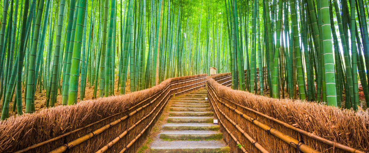Kyoto, Japan: A Journey Through History and Nature