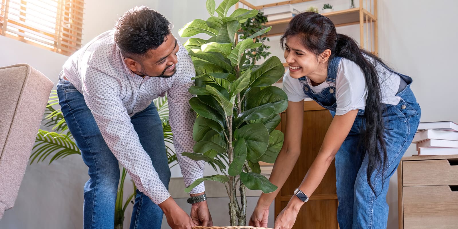 Making Urban Gardening a Lifestyle iVedaHelp