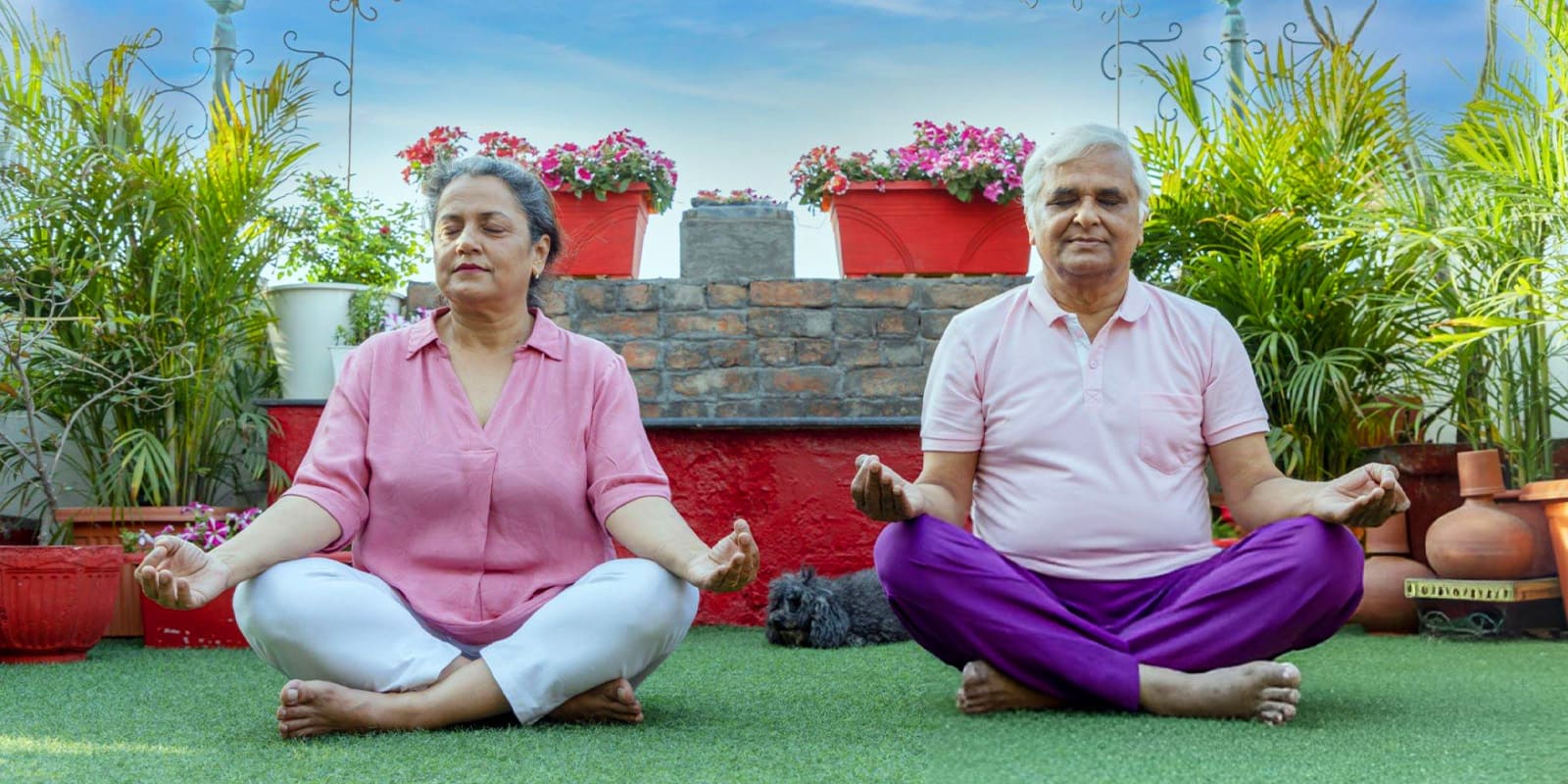 Urban Gardening Benefits with iVedaHelp